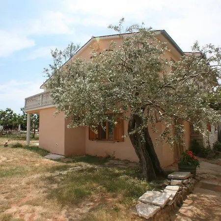 Dei Rocchi
