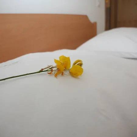 Dei Rocchi * Galižana
